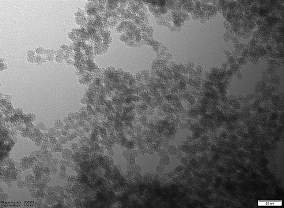 Electron microscope image of porous nanoparticles