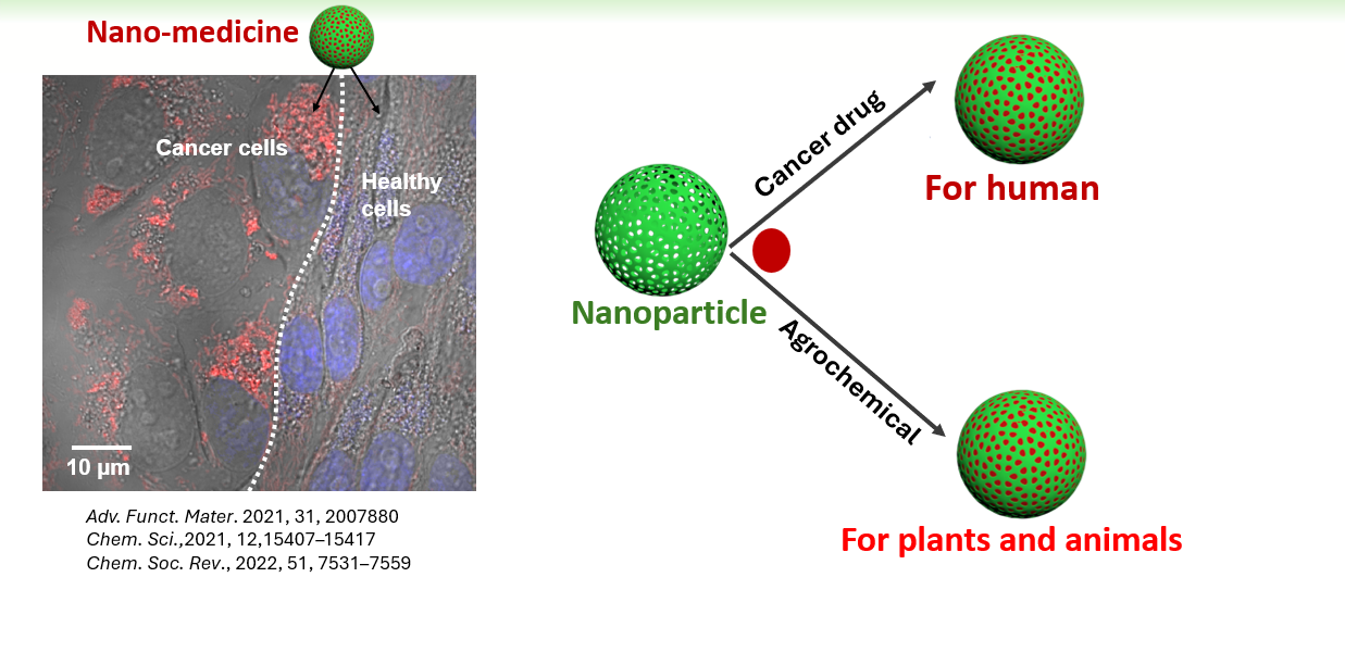 A journey from nano-medicine to nano-agrochemical