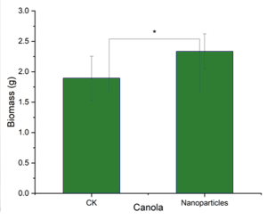 Canola biomass chart